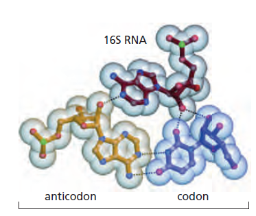 Figure 6-66.png